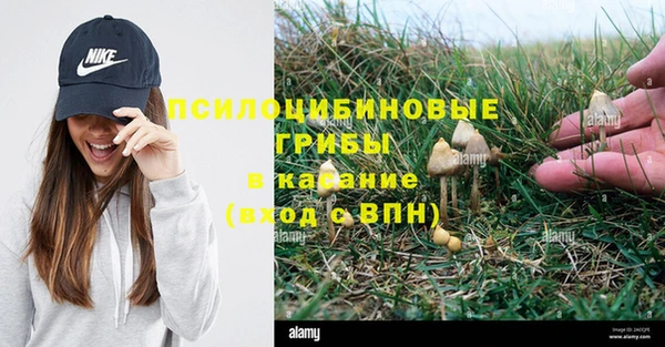кристаллы Осташков