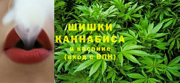 ECSTASY Вяземский