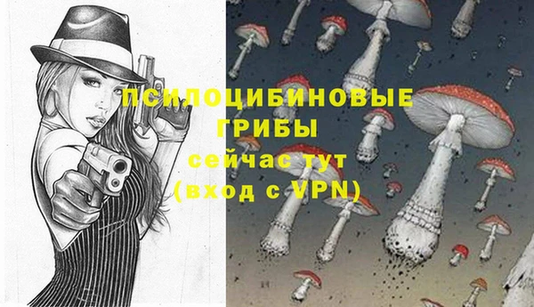 2c-b Нягань