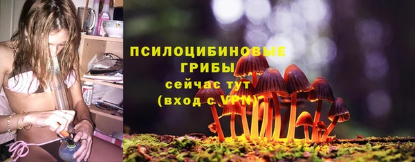 кокс Няндома