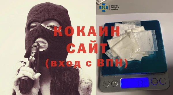 кокс Няндома
