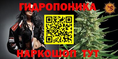 дмт Кинель