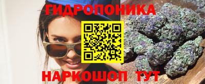 дмт Кинель
