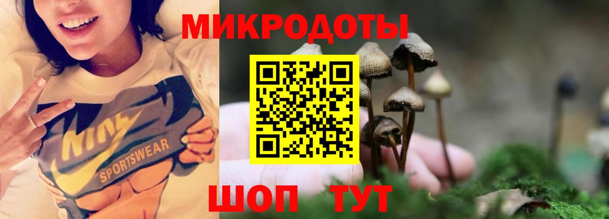 Галлюциногенные грибы GOLDEN TEACHER  Псилоцибиновые грибы мухоморы  Вход с VPN  Новодвинск 